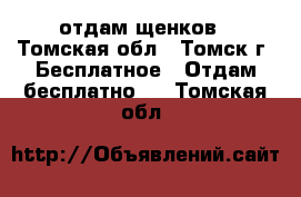 отдам щенков - Томская обл., Томск г. Бесплатное » Отдам бесплатно   . Томская обл.